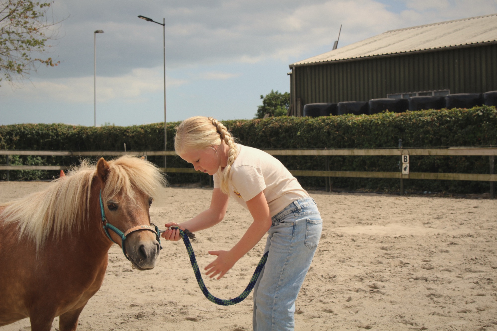 Een kind leidt een pony over het terrein van Gijsewijs