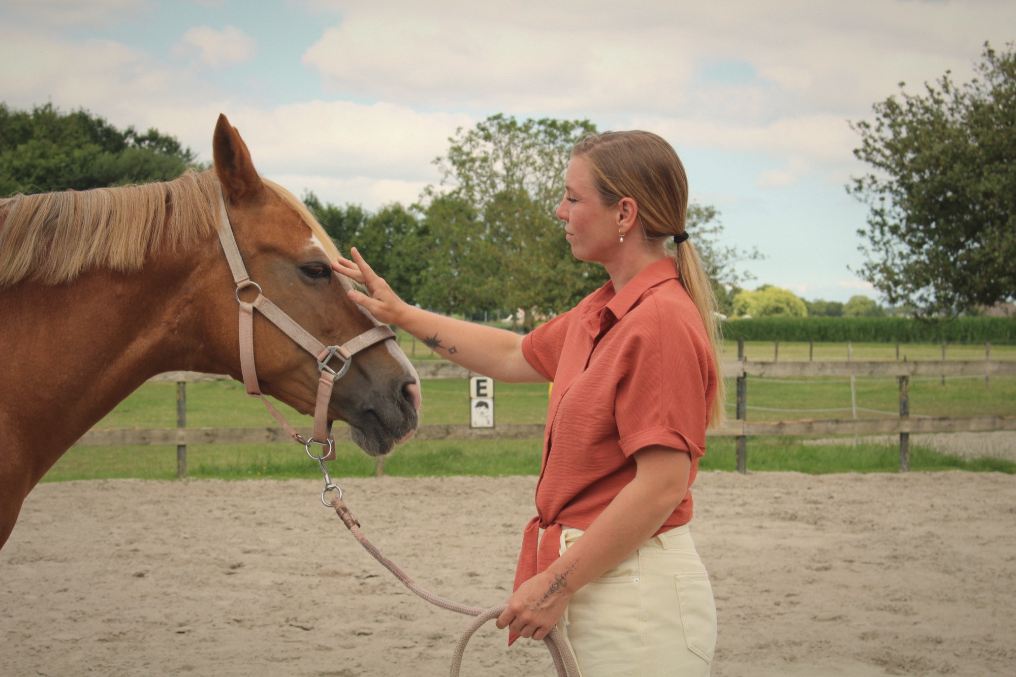 Inge aait het gezicht van een paard